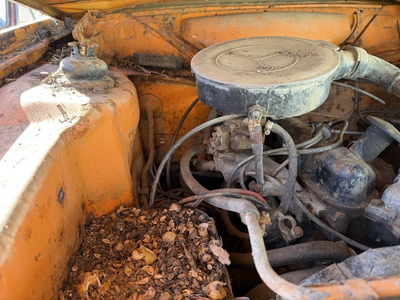 IMG_7718 – grande.jpeg