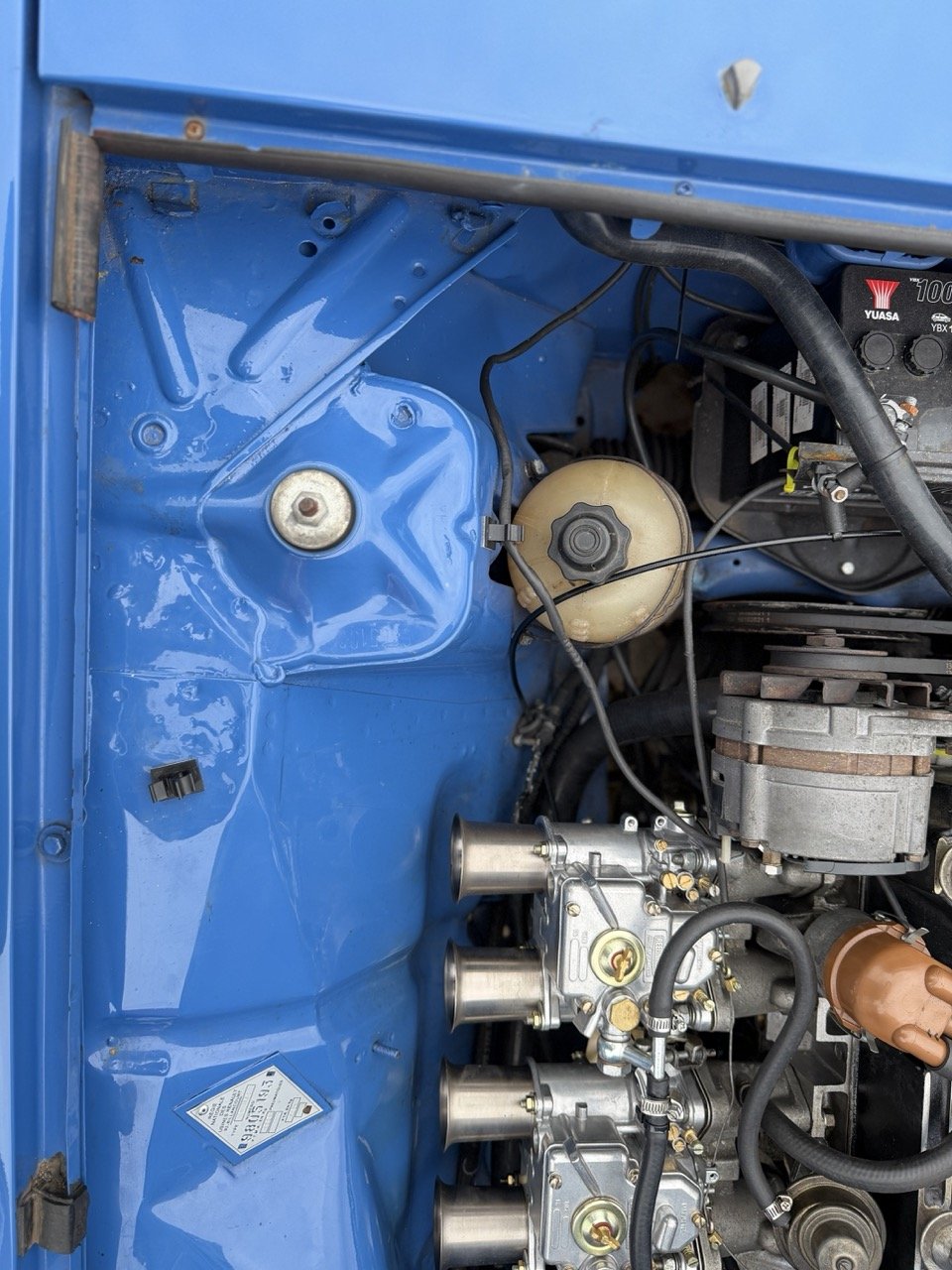 IMG_6037 – grande.jpeg