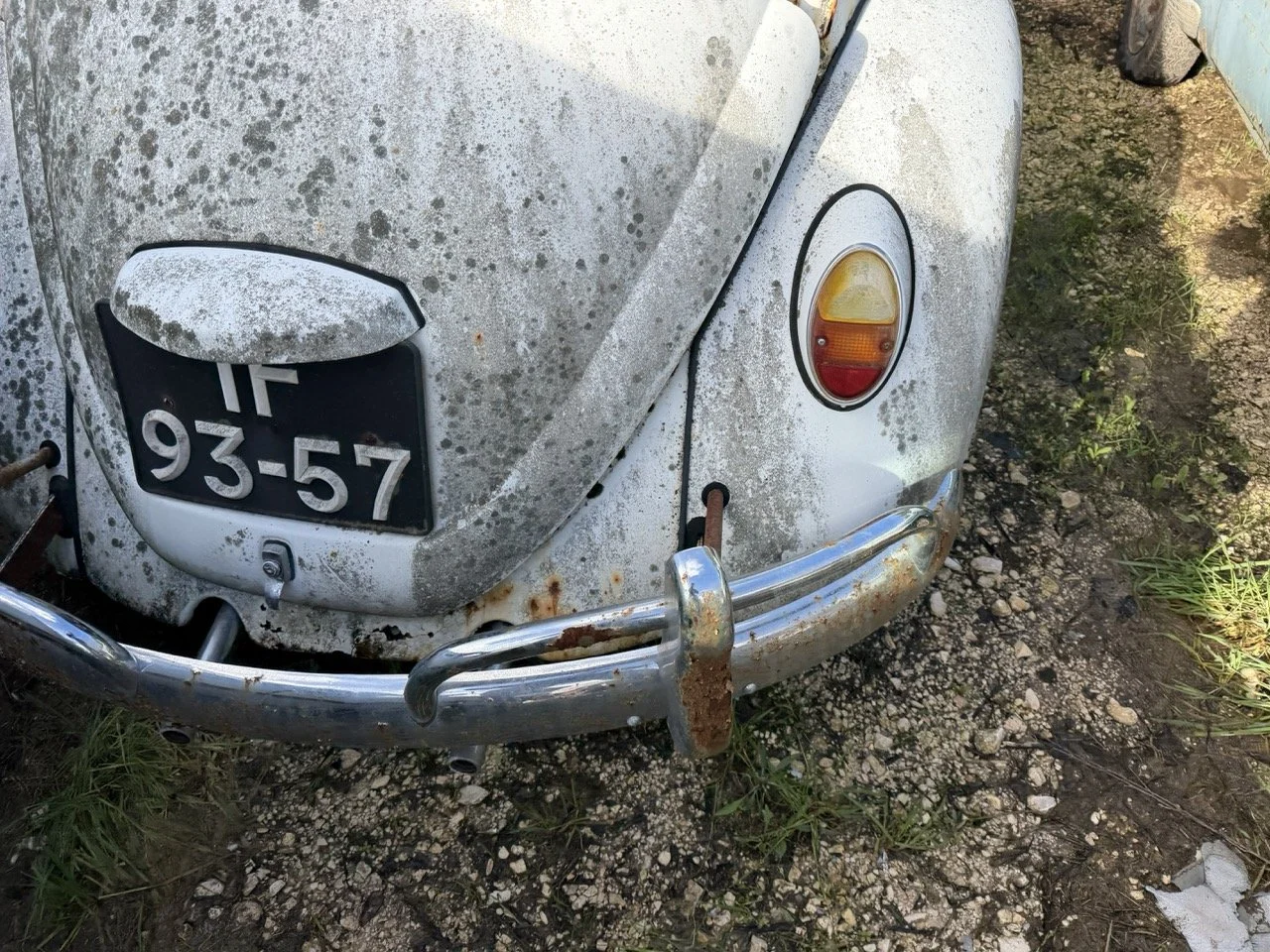 IMG_8577 – grande.jpeg