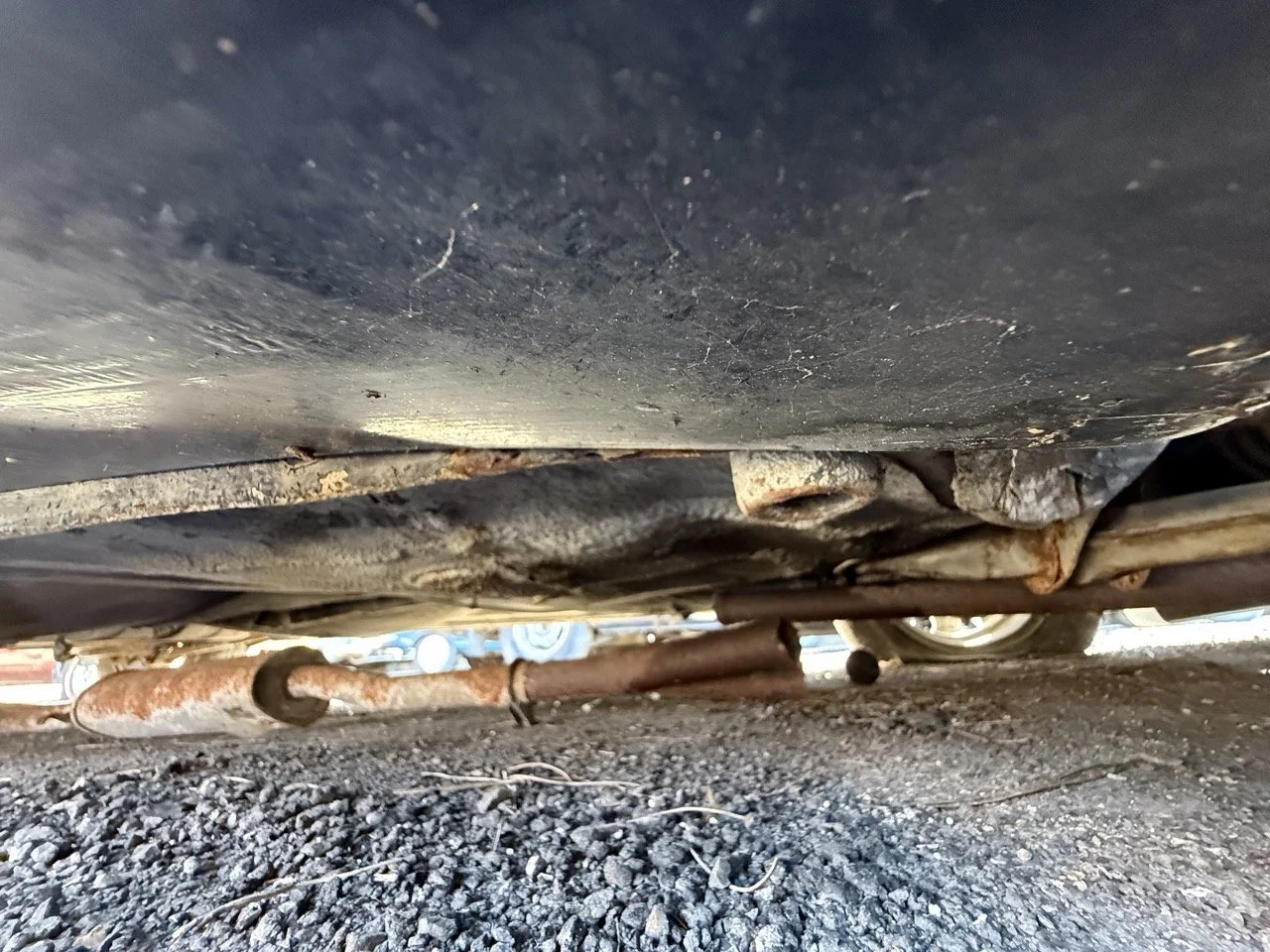 IMG_2961 – grande.jpeg