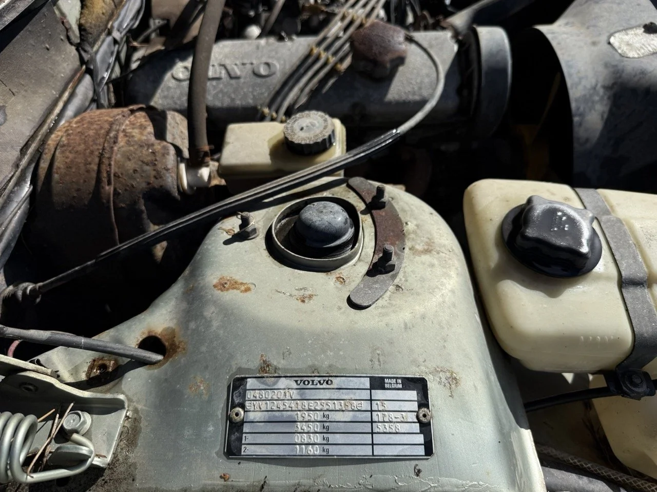 IMG_1161 – grande.jpeg