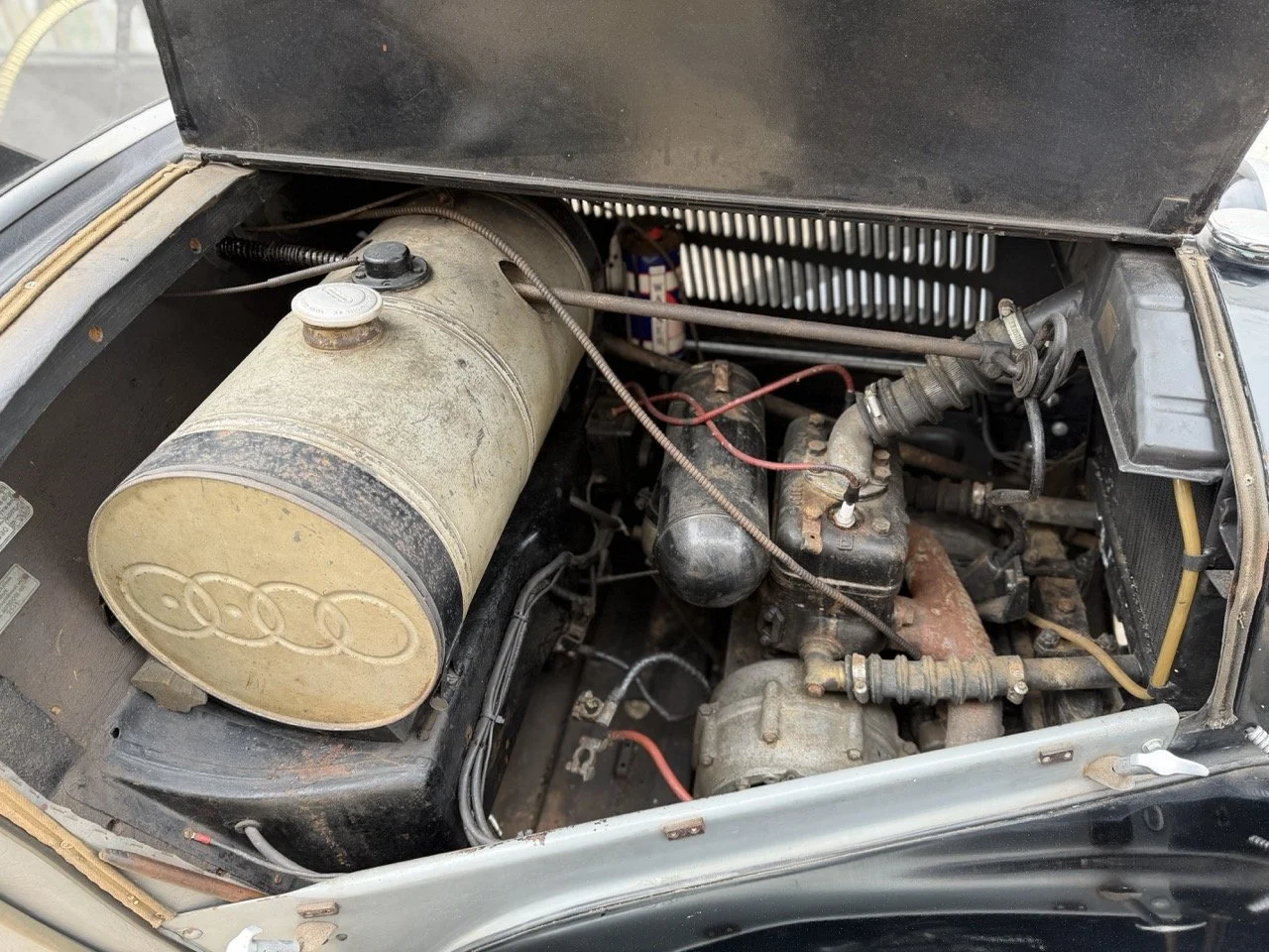 IMG_1437 – grande.jpeg