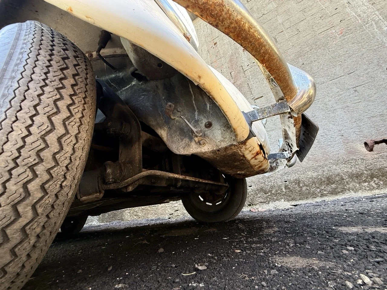 IMG_0732 – grande.jpeg