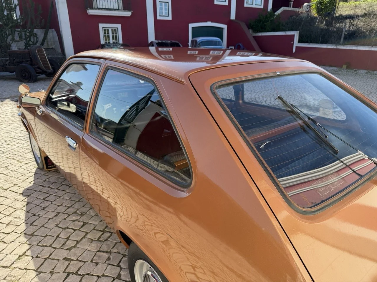 IMG_2430 – grande.jpeg