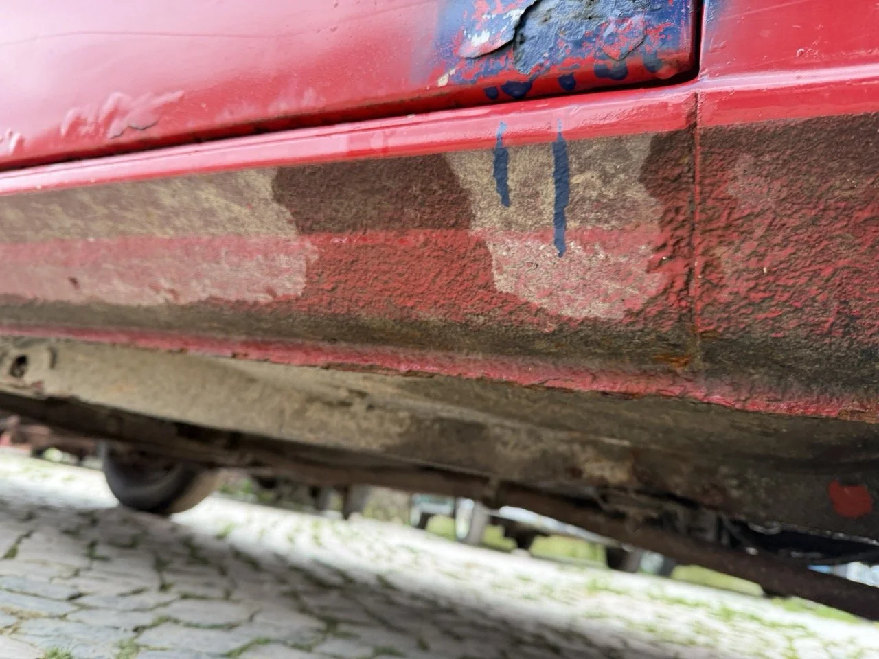 IMG_9665 – grande.jpeg