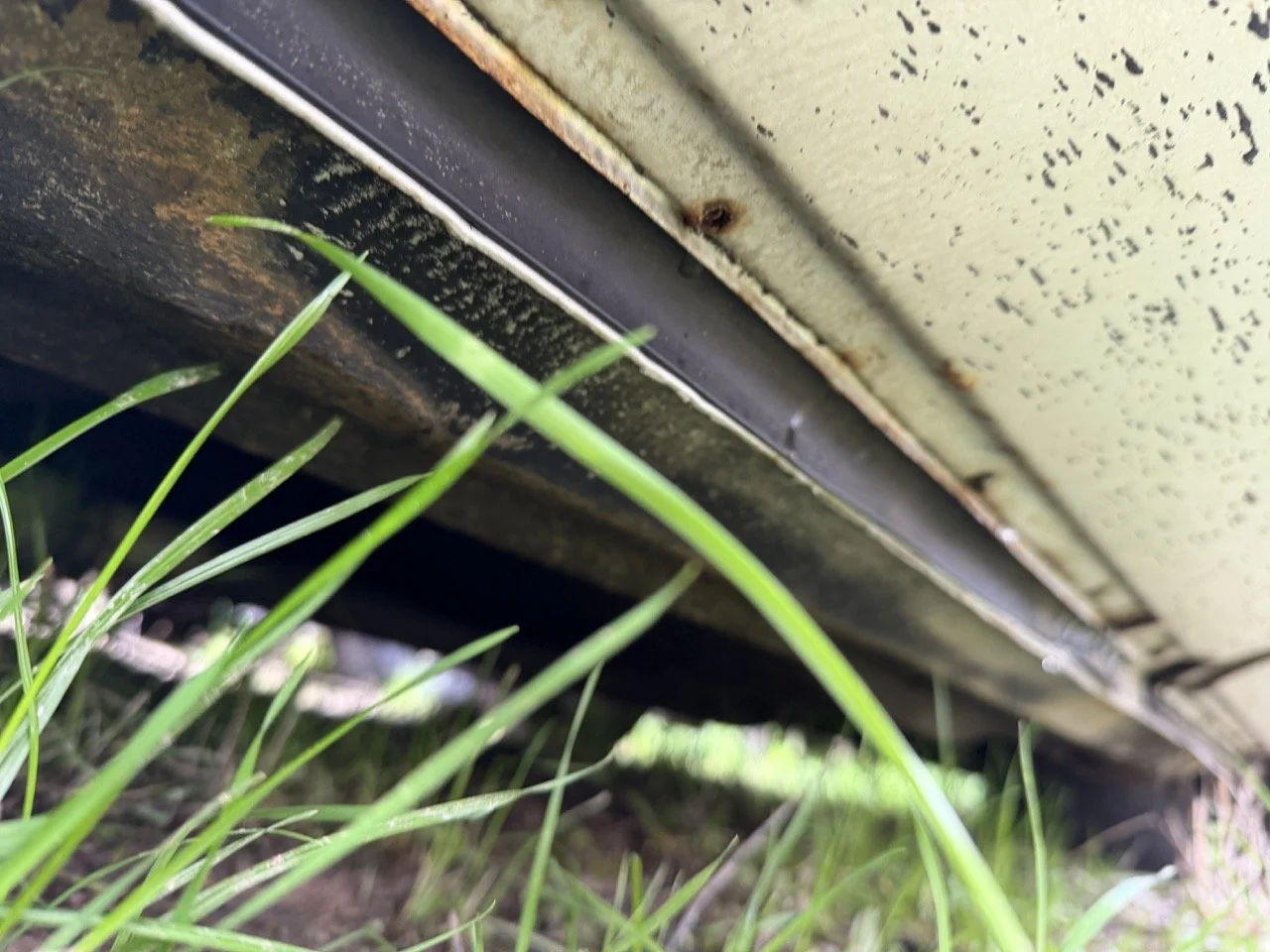 IMG_4996 – grande.jpeg