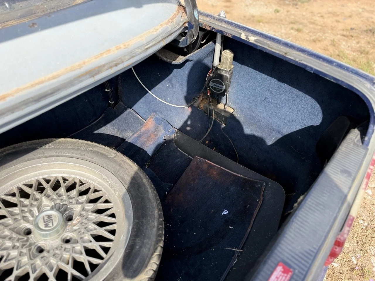 IMG_3393 – grande.jpeg