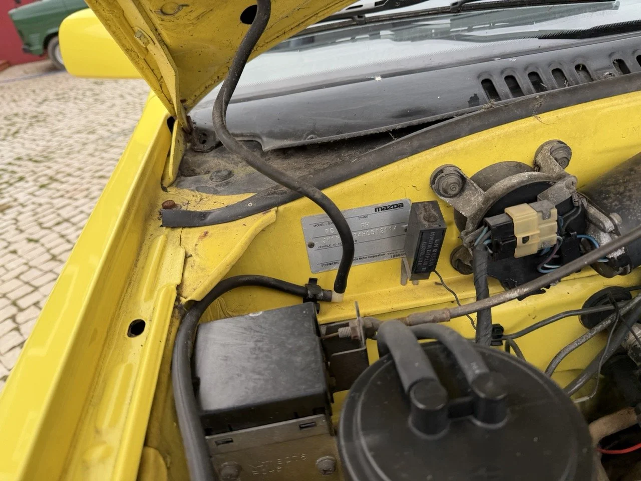 IMG_9761 – grande.jpeg