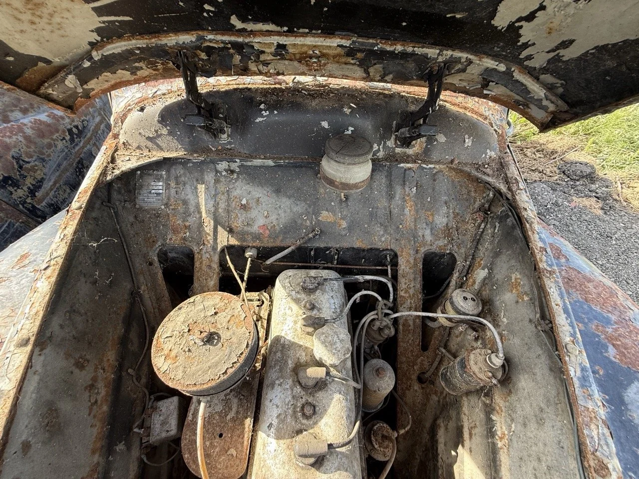 IMG_0415 – grande.jpeg