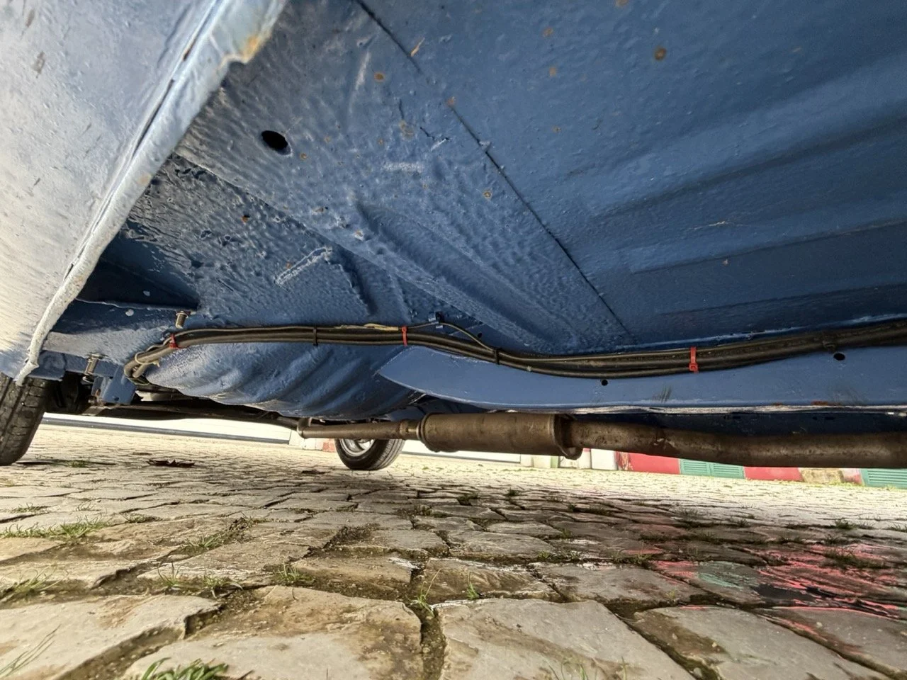 IMG_6134 – grande.jpeg