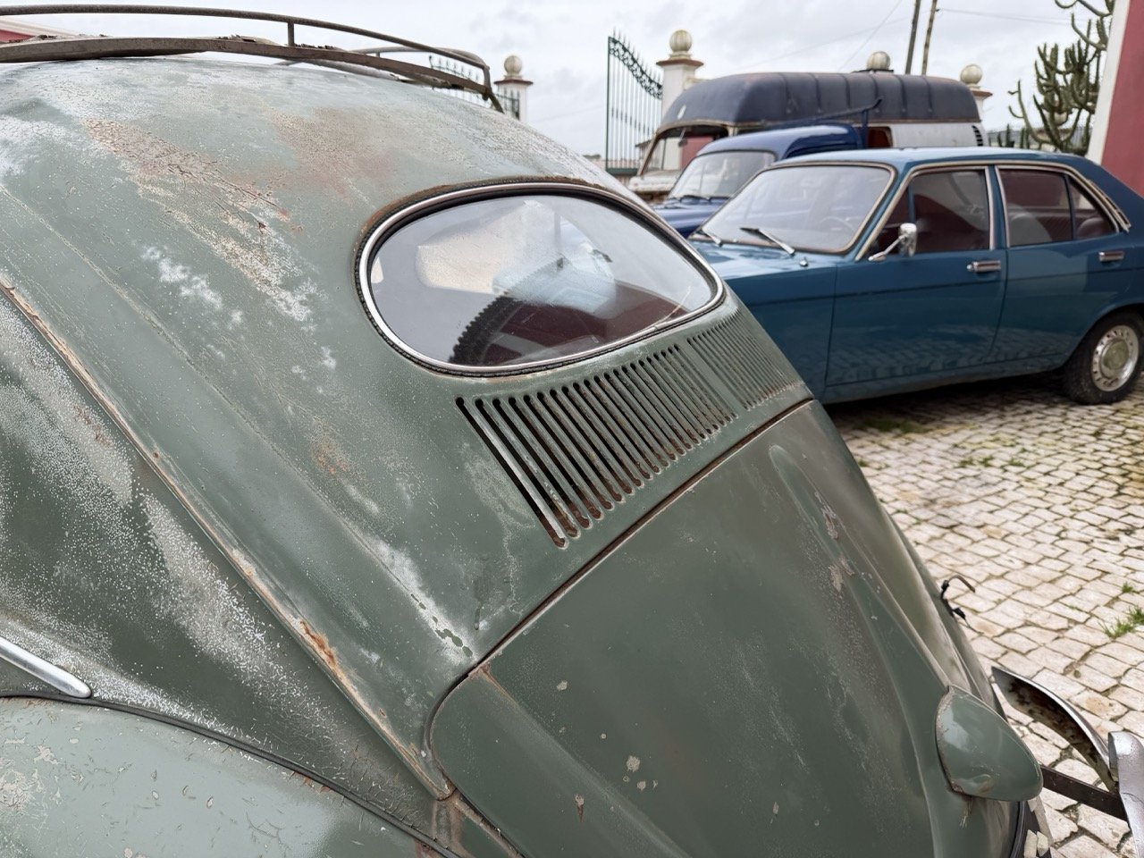 IMG_1196 – grande.jpeg