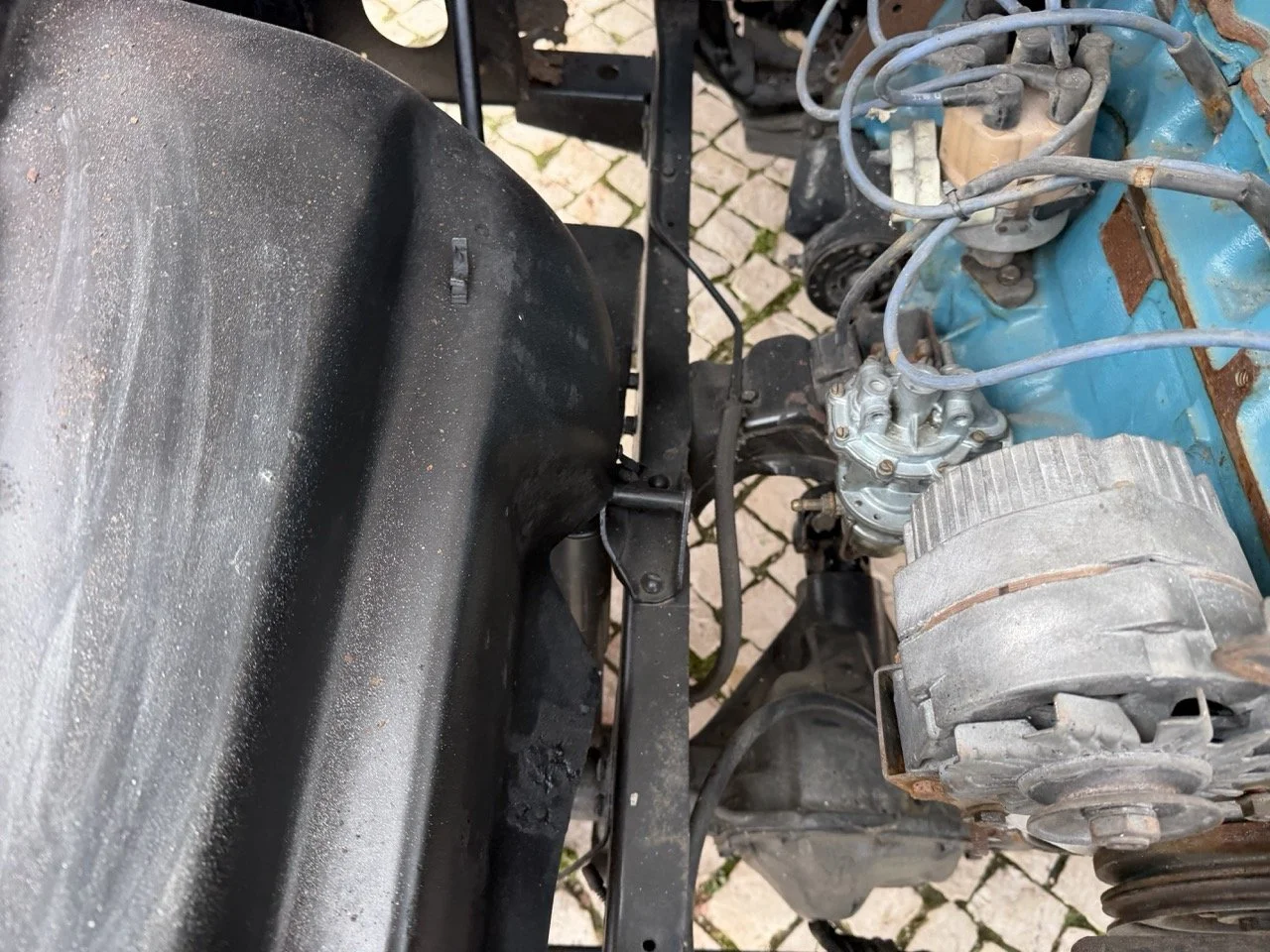 IMG_3943 – grande.jpeg