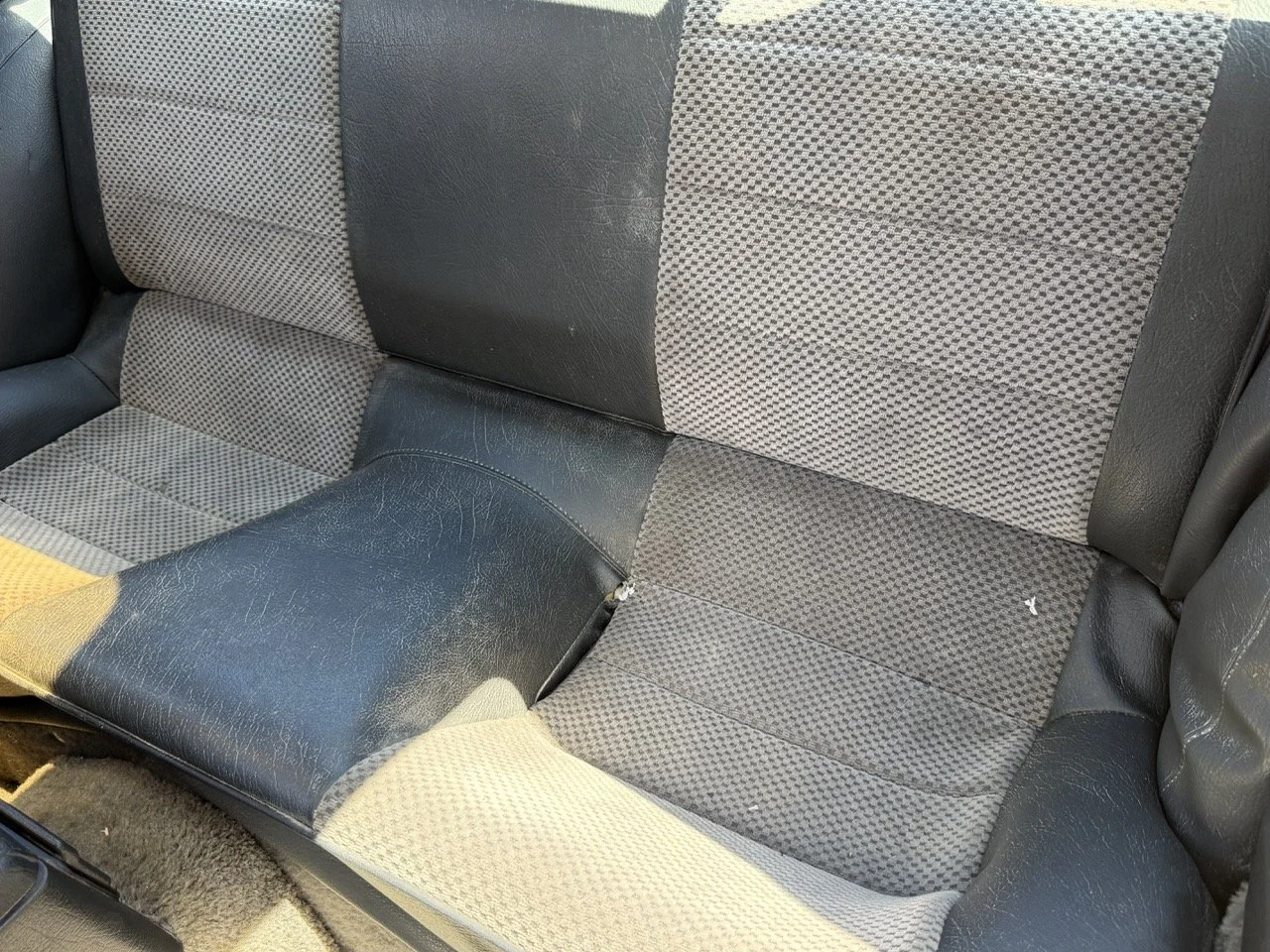 IMG_2077 – grande.jpeg