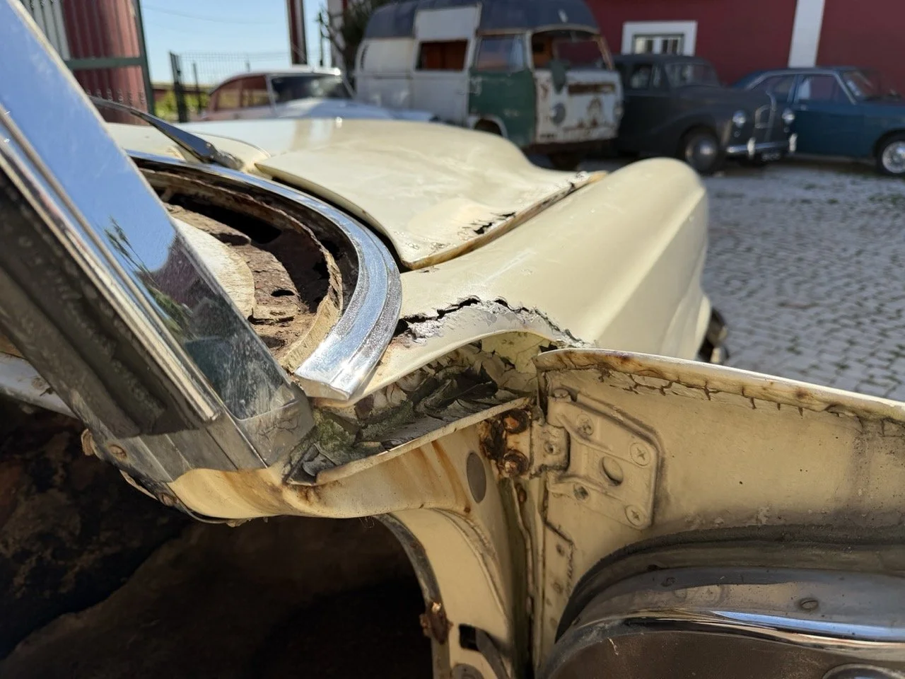 IMG_7028 – grande.jpeg