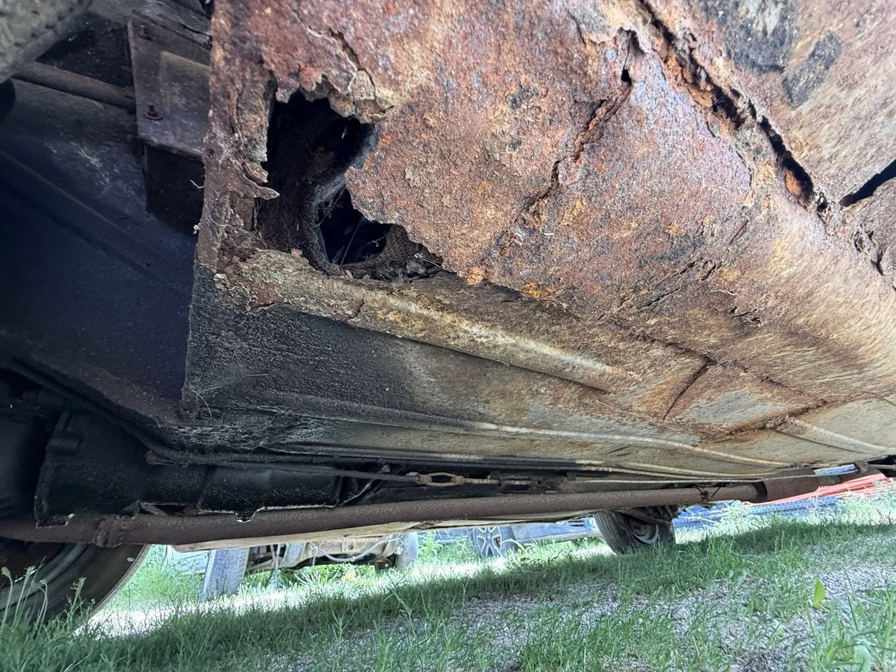 IMG_1434 – grande.jpeg