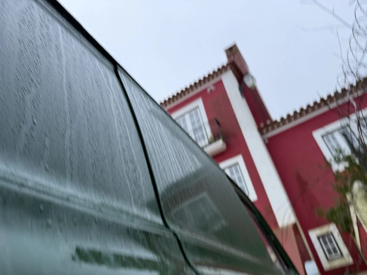 IMG_9992 – grande.jpeg