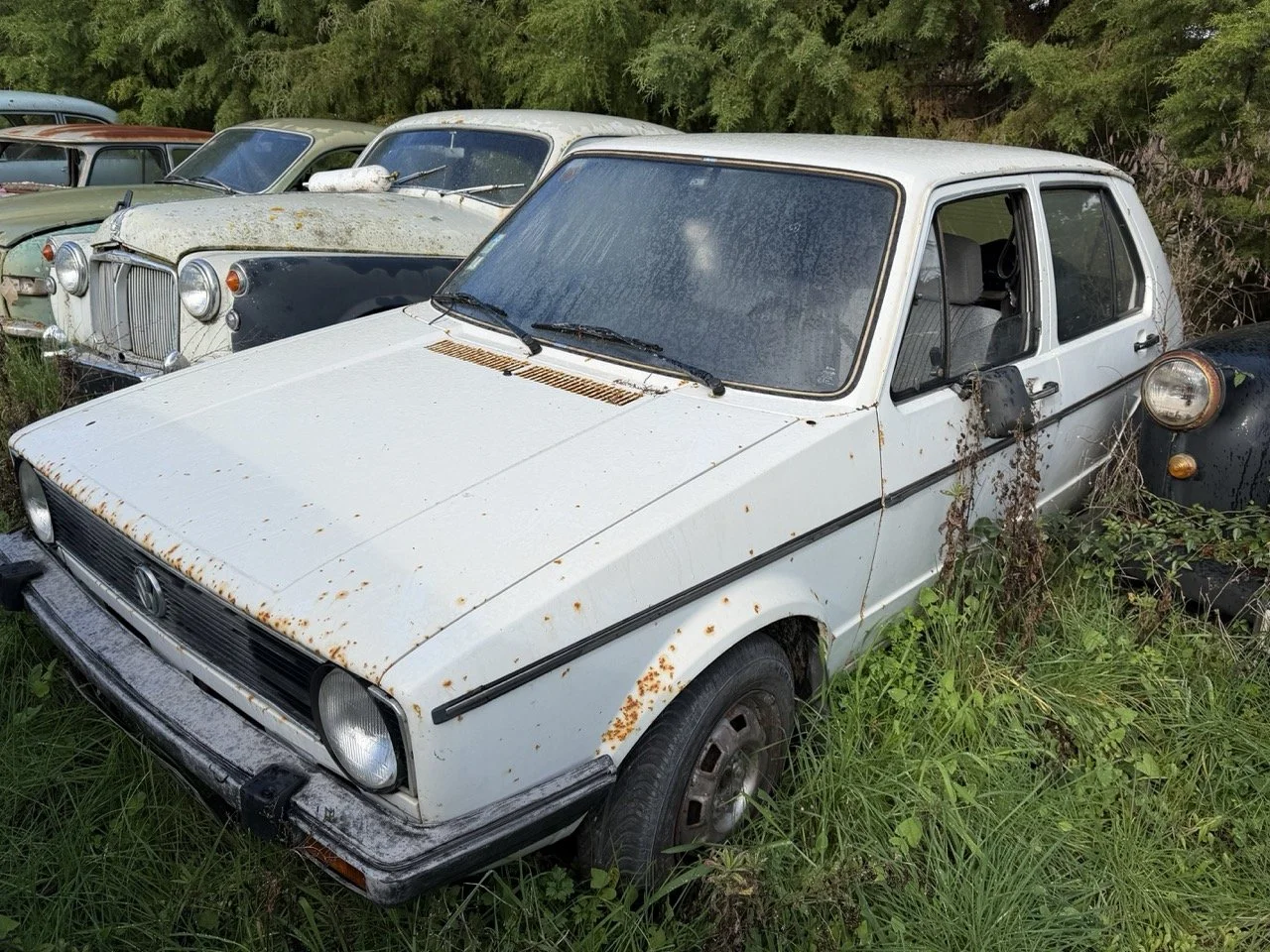 IMG_5174 – grande.jpeg