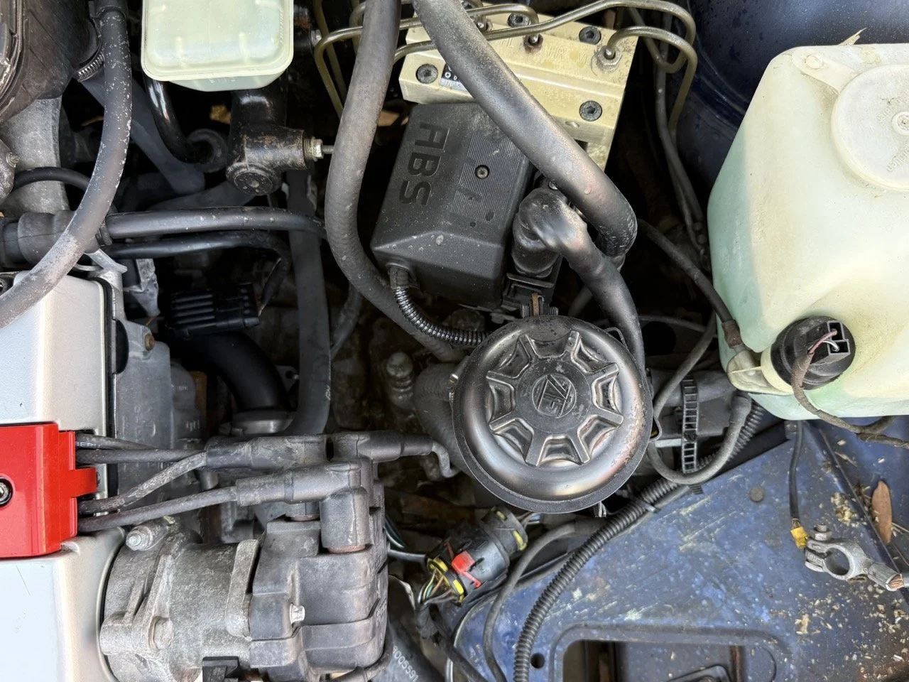 IMG_2424 – grande.jpeg