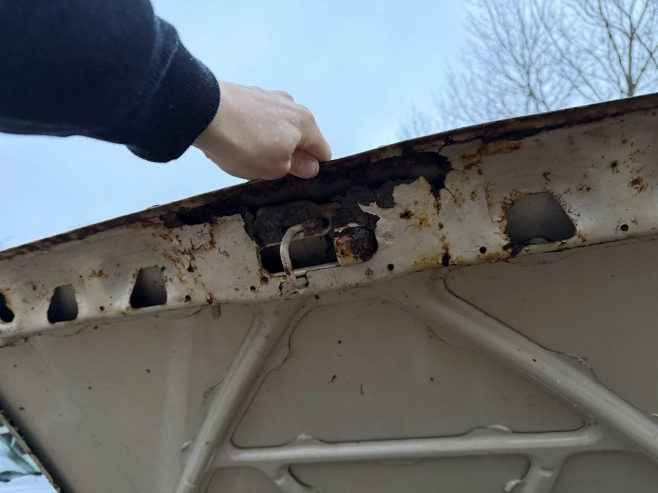 IMG_0253 – grande.jpeg