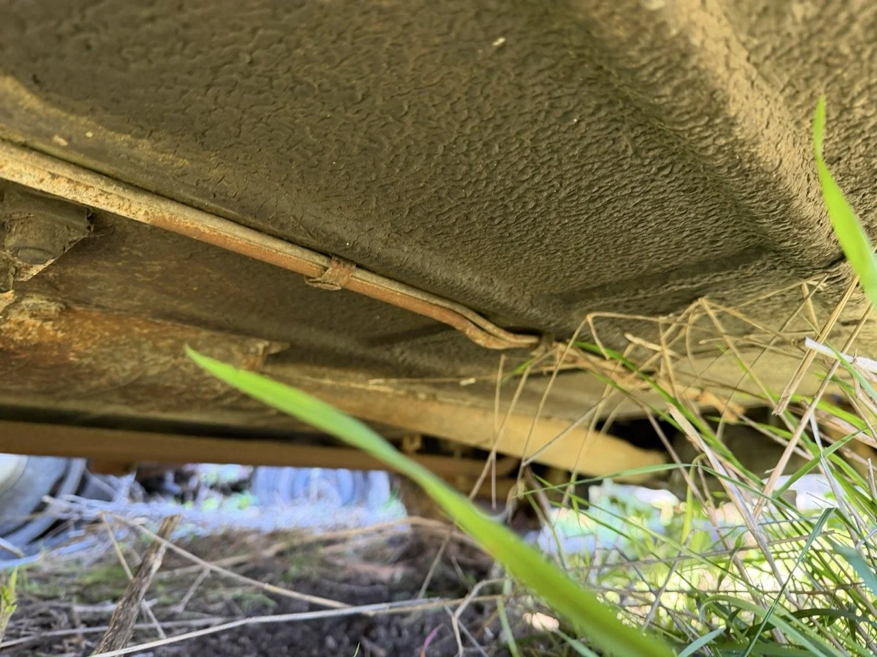 IMG_2537 – grande.jpeg