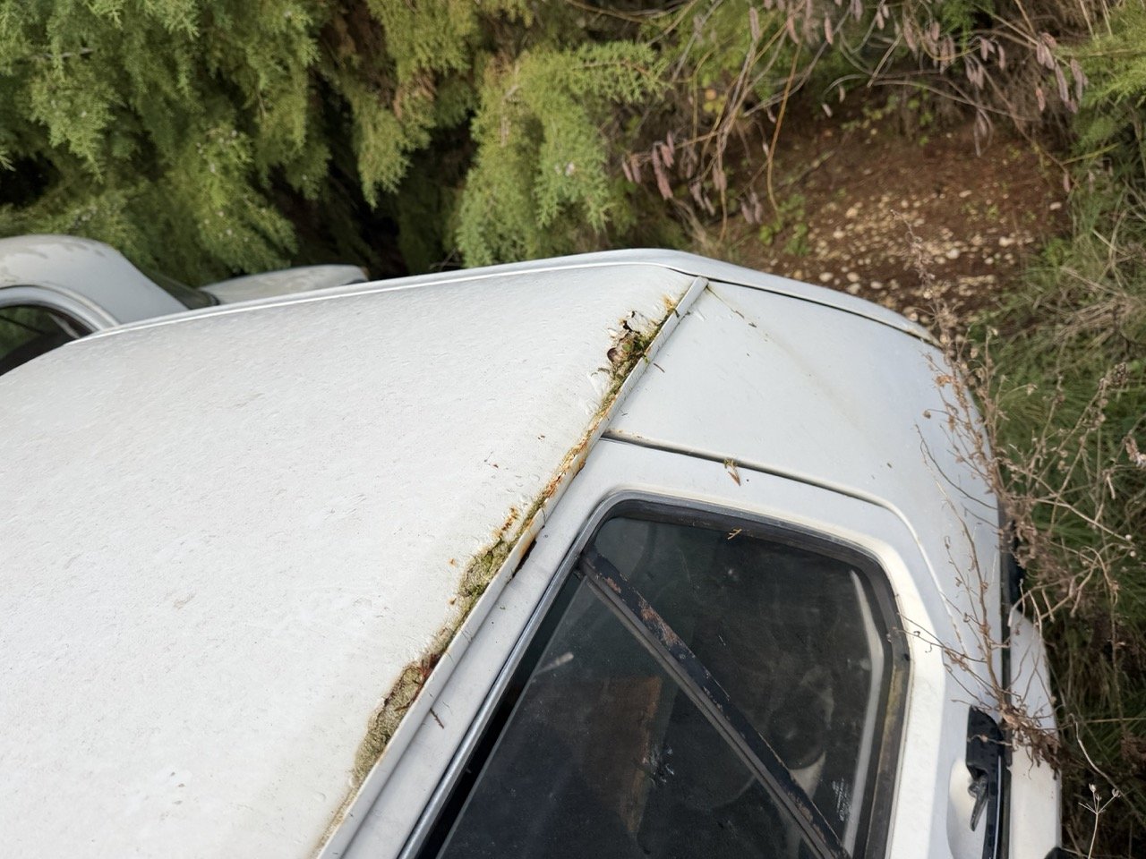 IMG_5183 – grande.jpeg