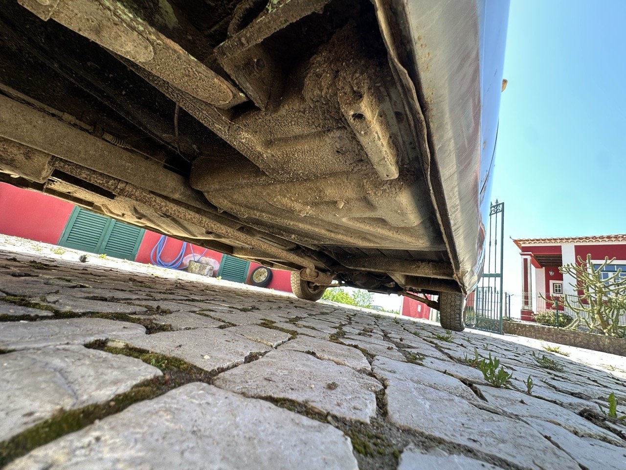IMG_1447 – grande.jpeg