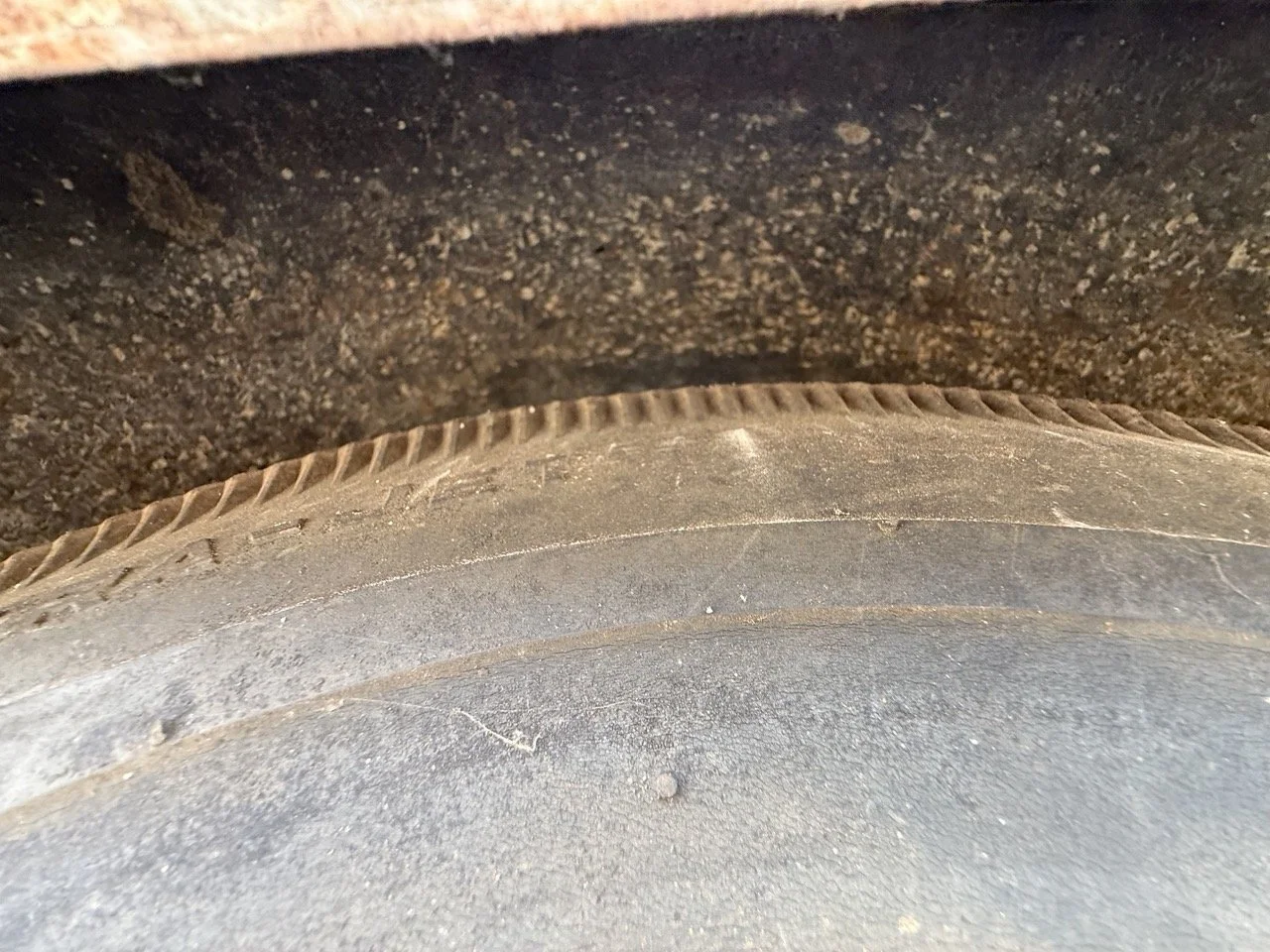 IMG_1428 – grande.jpeg