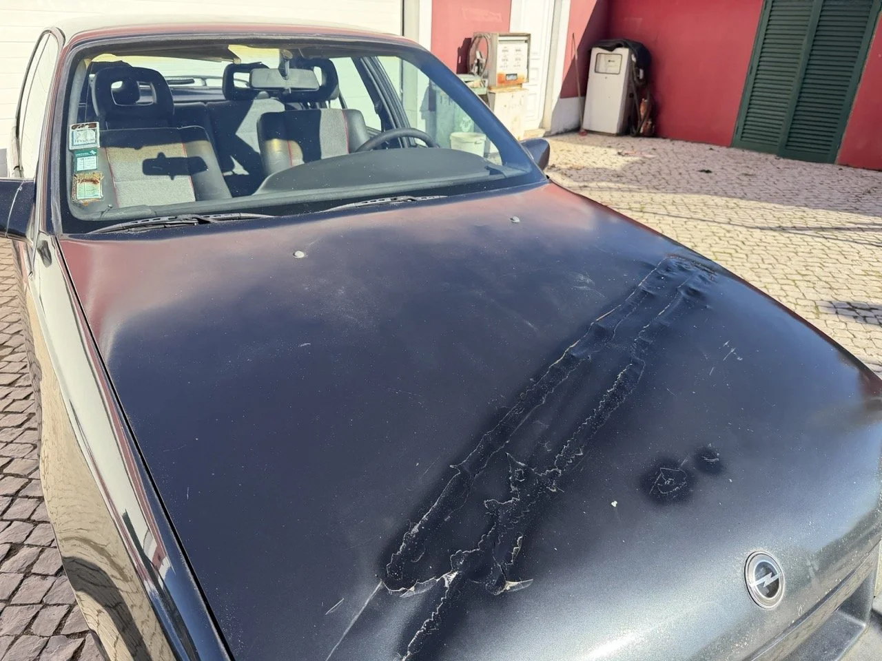 IMG_2789 – grande.jpeg