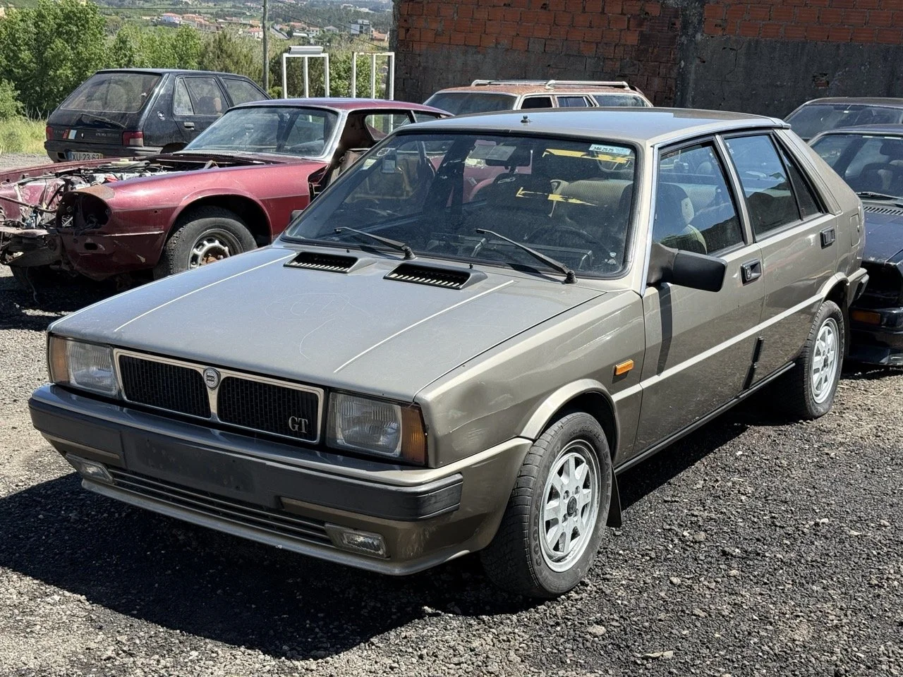 IMG_1870 – grande.jpeg