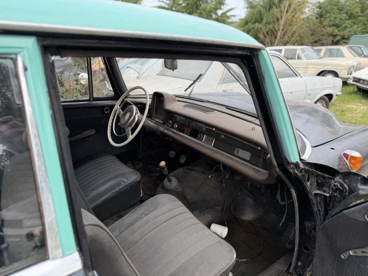 IMG_5024 – grande.jpeg