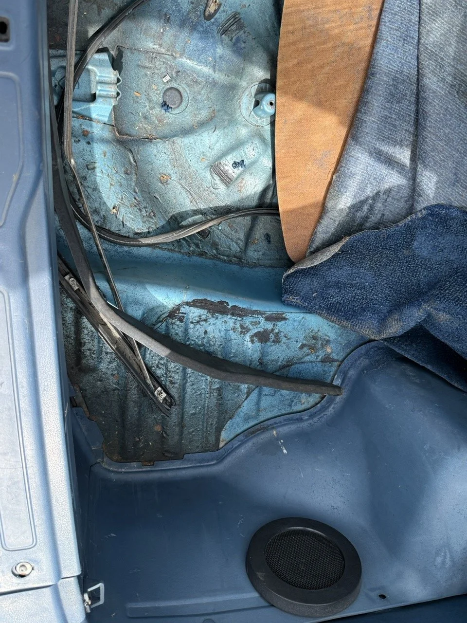 IMG_1532 – grande.jpeg