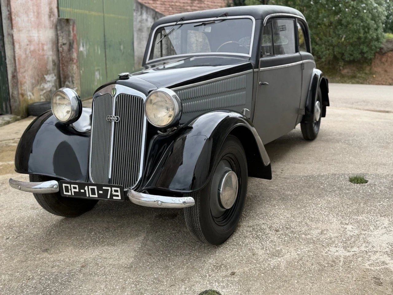 IMG_1406 – grande.jpeg