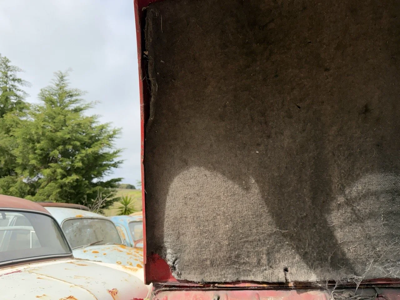 IMG_3873 – grande.jpeg