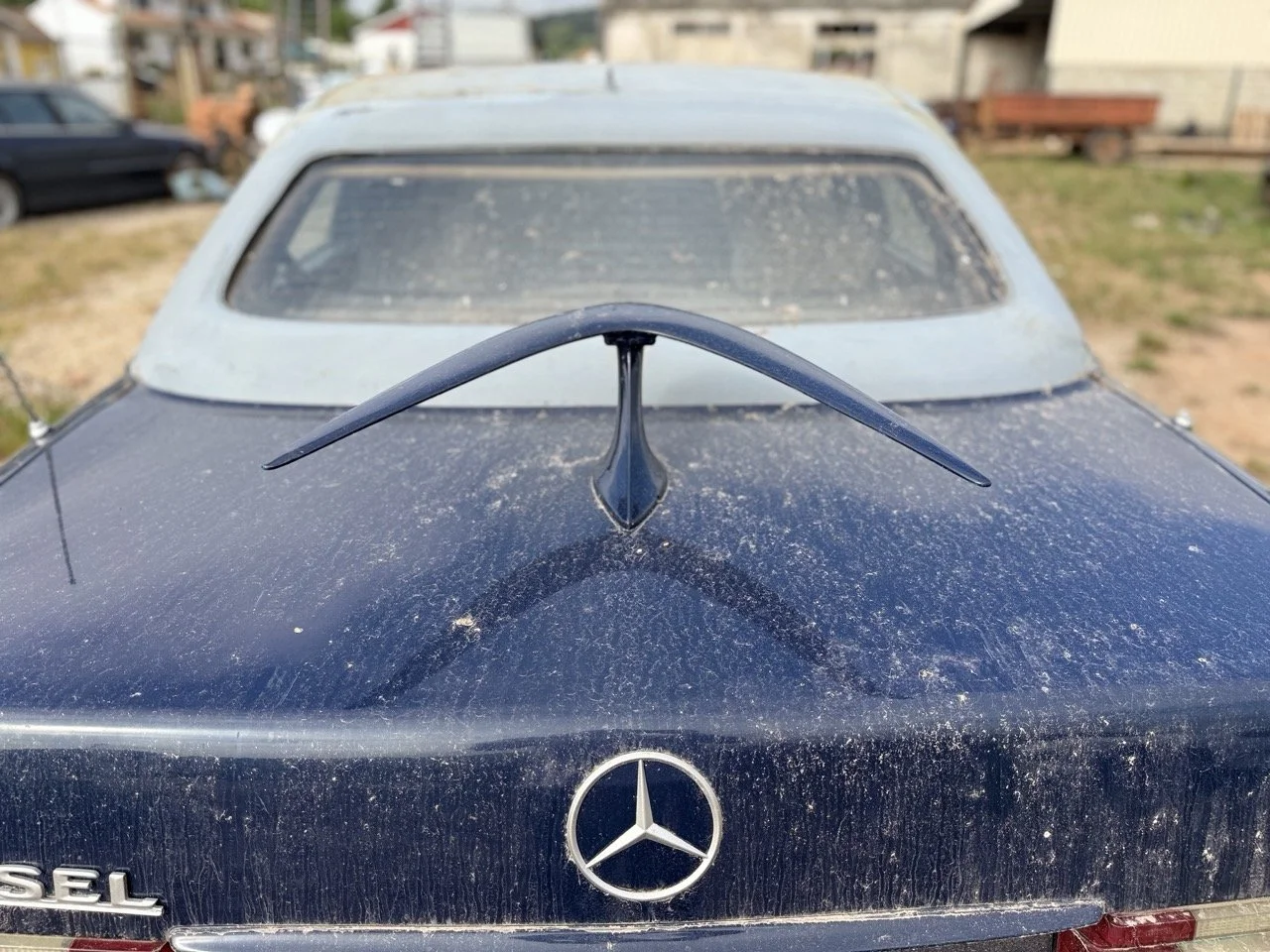 IMG_3367 – grande.jpeg