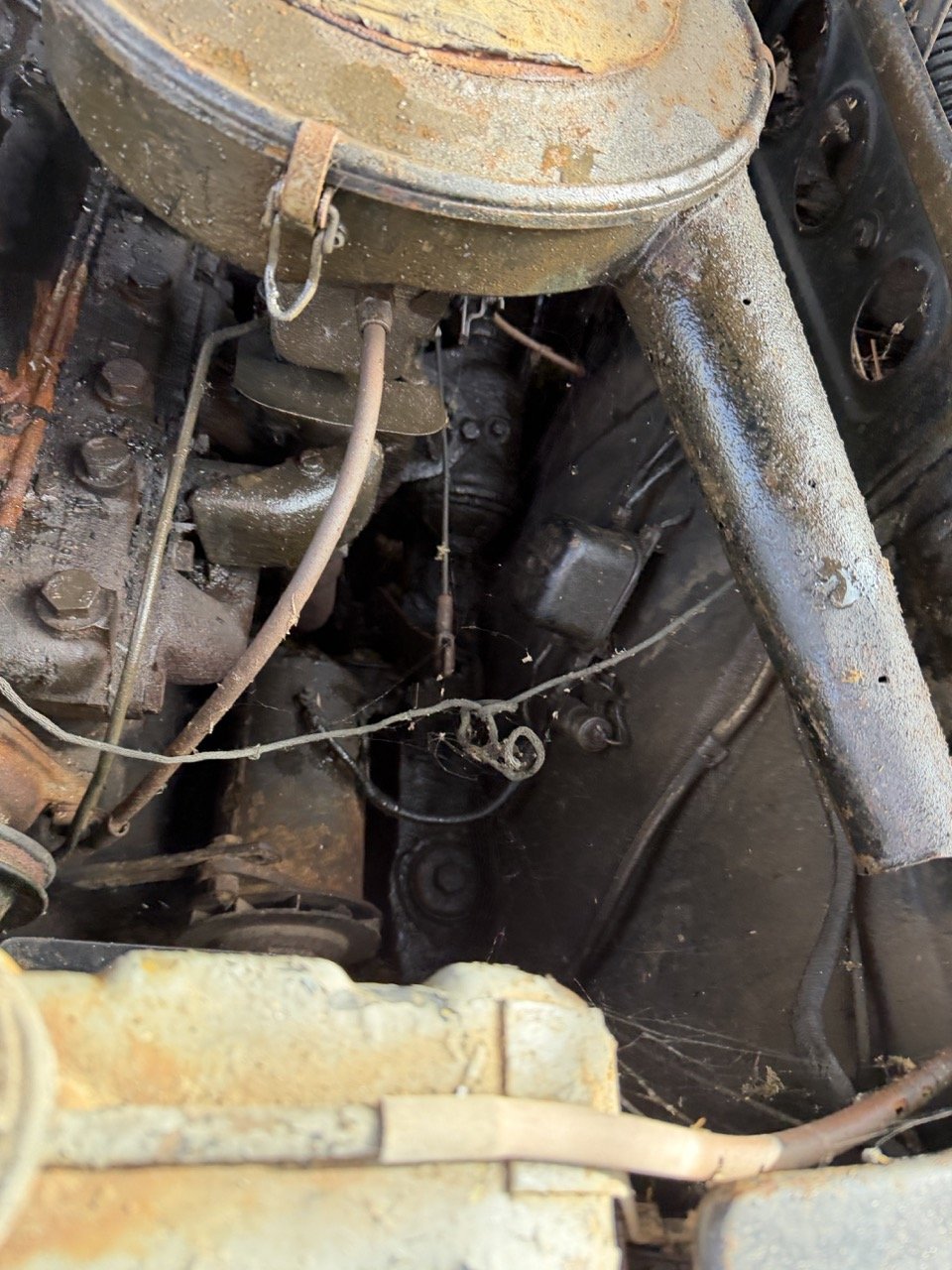 IMG_5097 – grande.jpeg