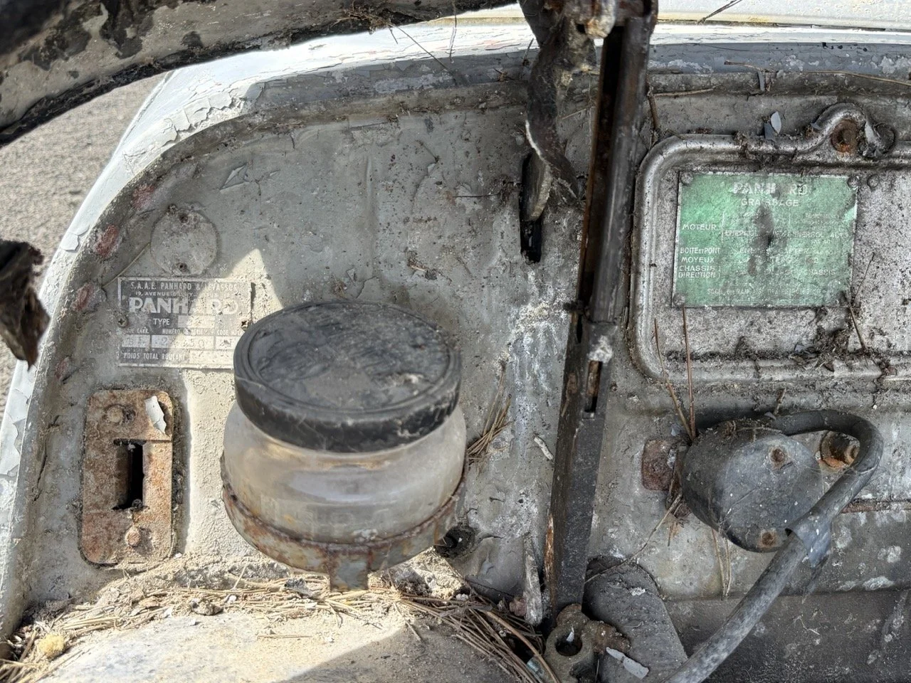 IMG_0332 – grande.jpeg