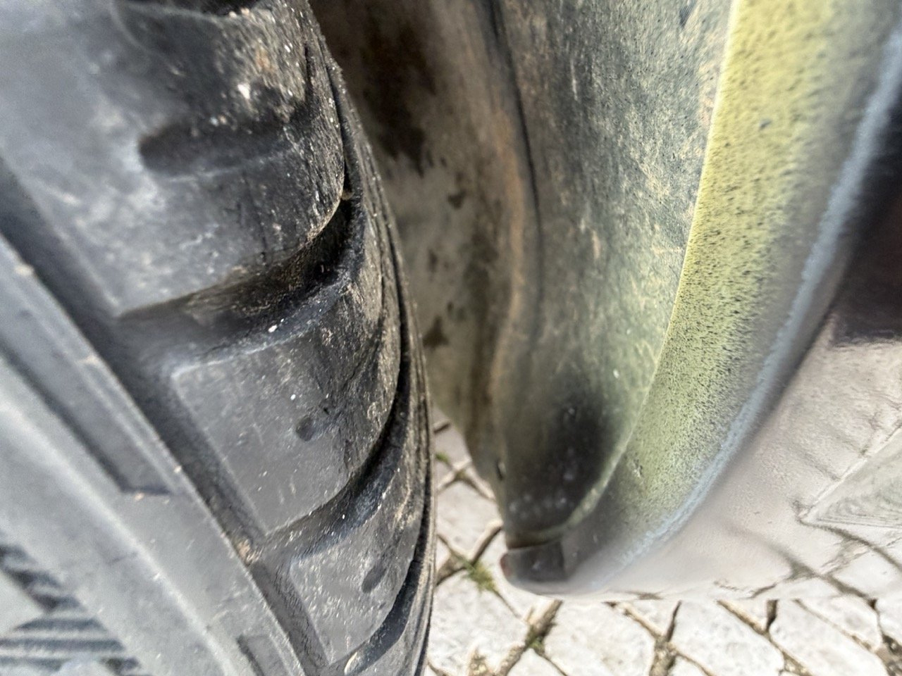 IMG_1336 – grande.jpeg