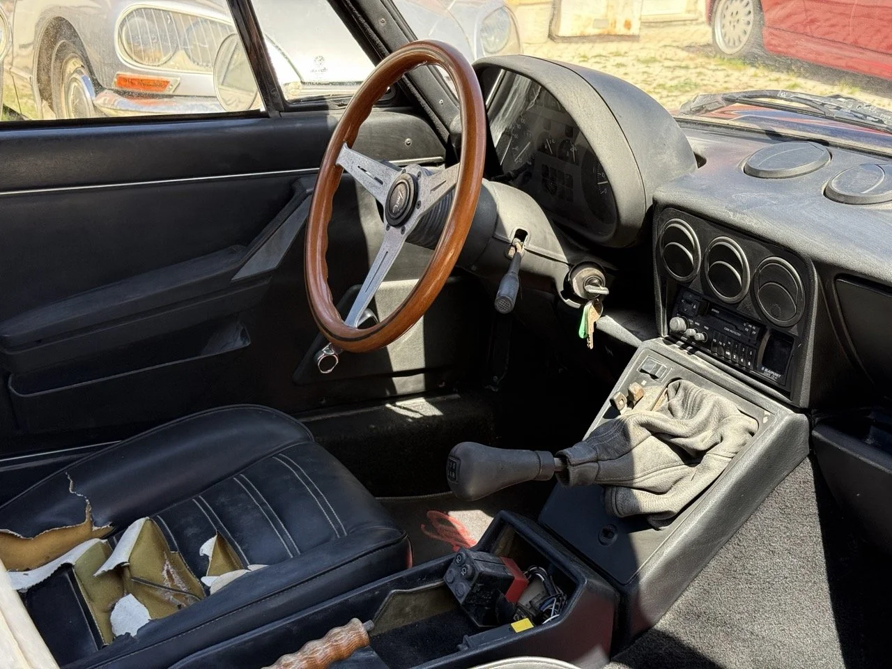 IMG_2142 – grande.jpeg