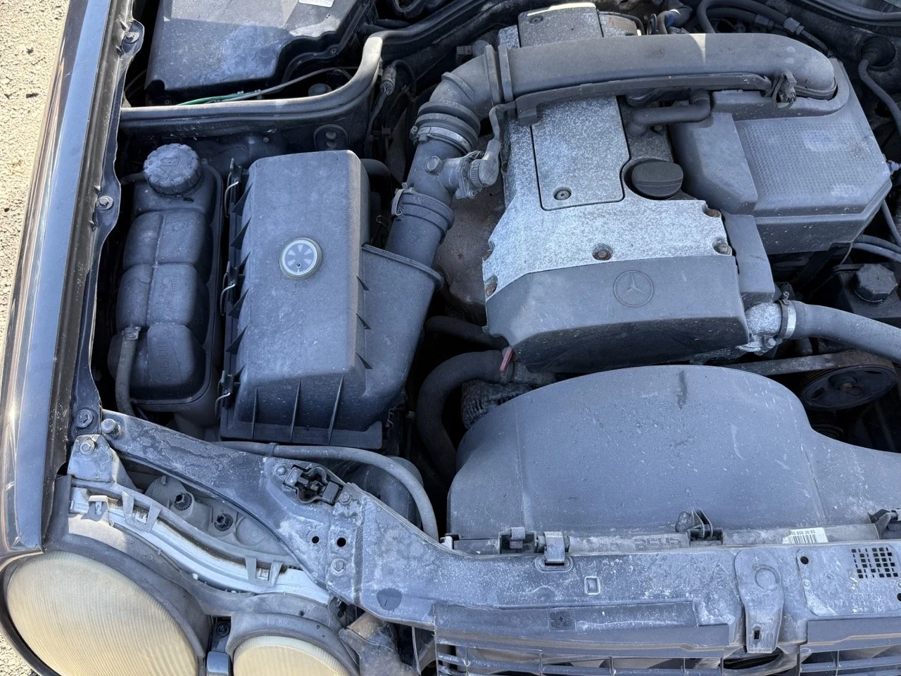 IMG_1786 – grande.jpeg