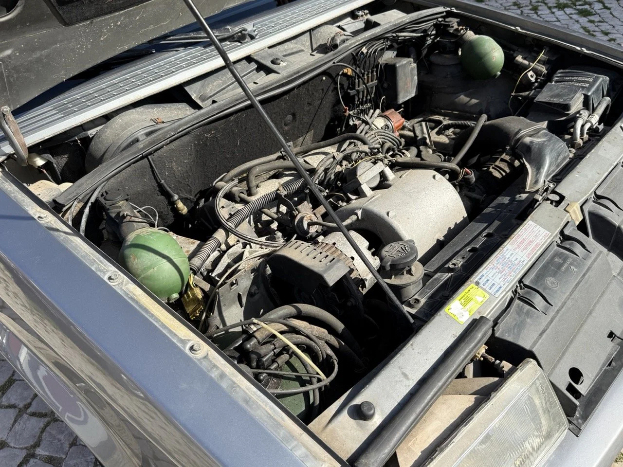 IMG_2550 – grande.jpeg