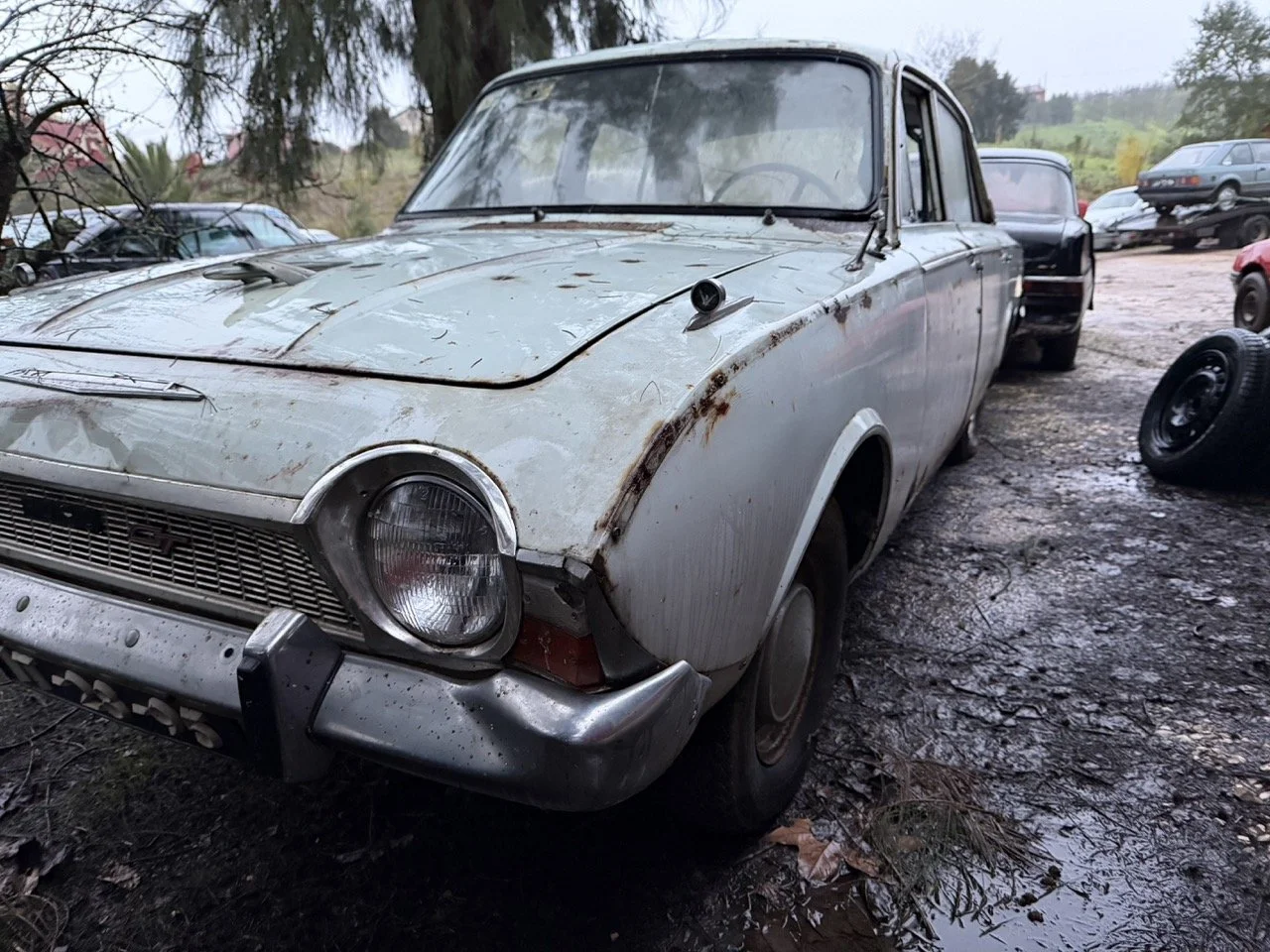 IMG_0167 – grande.jpeg