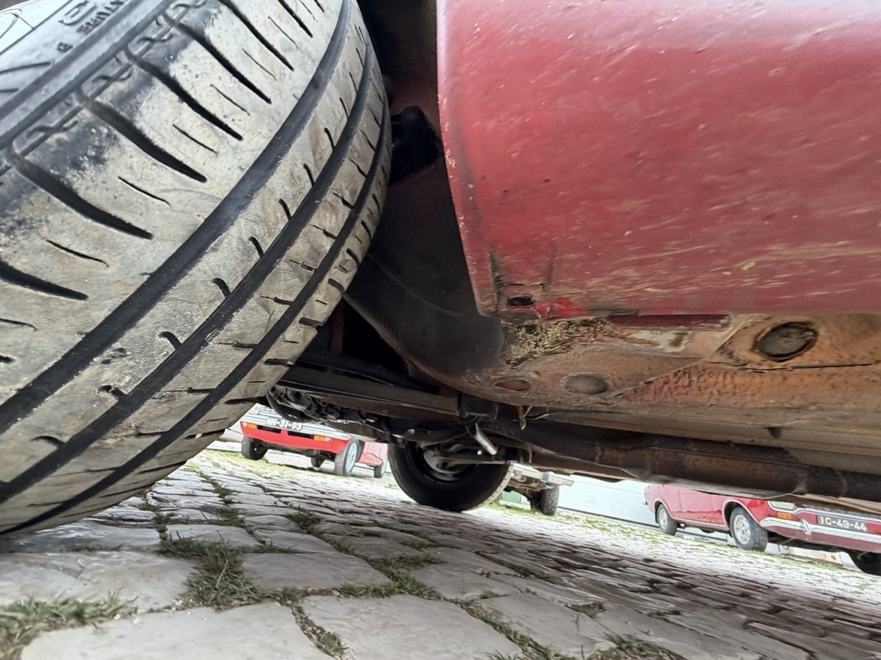 IMG_3652 – grande.jpeg