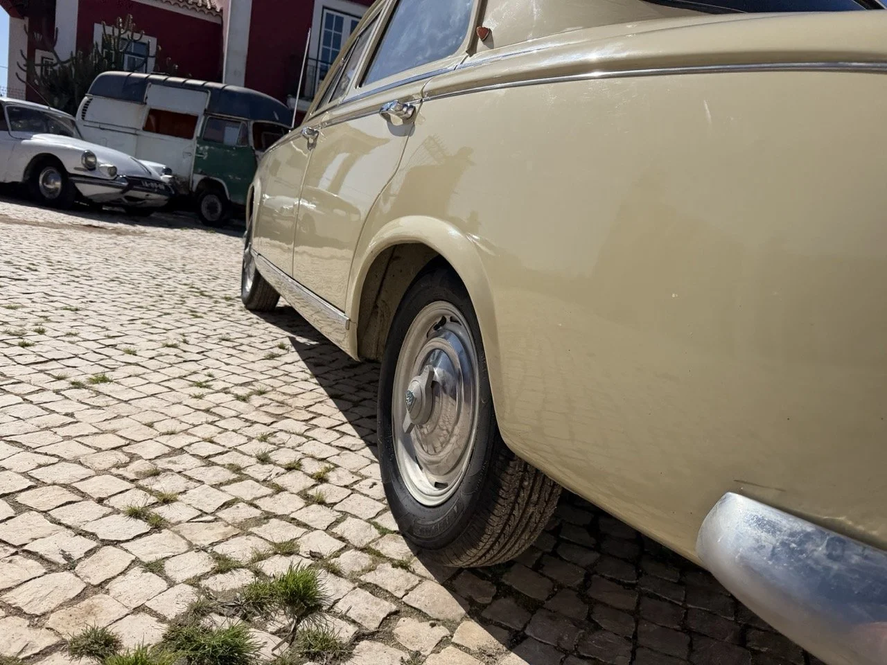 IMG_6727 – grande.jpeg