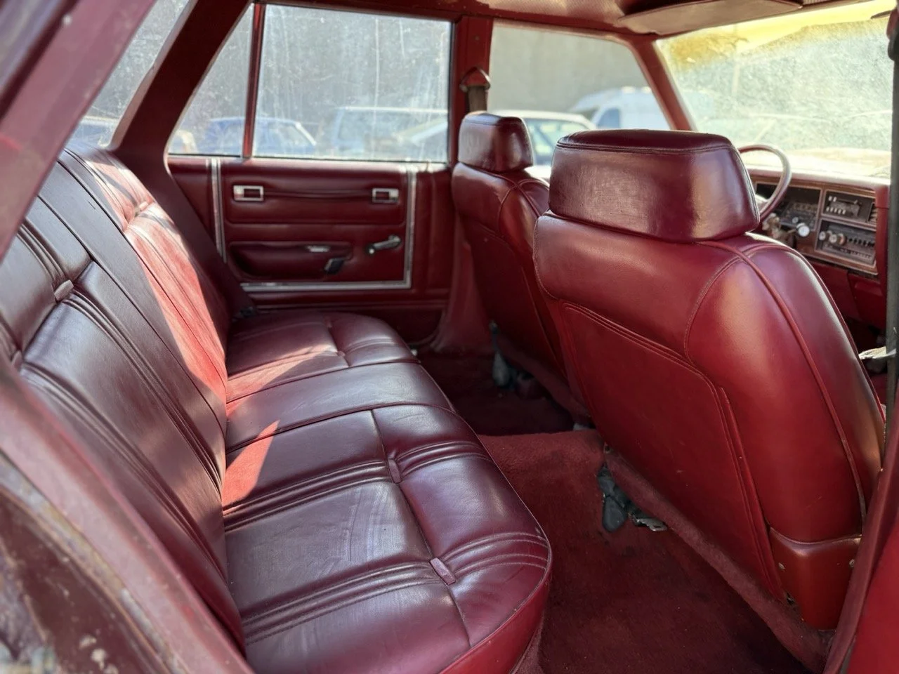 IMG_3026 – grande.jpeg