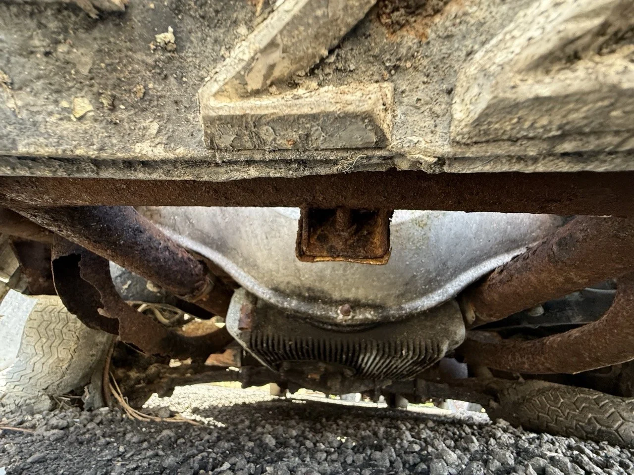 IMG_0527 – grande.jpeg