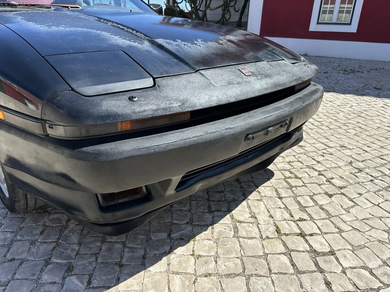 IMG_3142 – grande.jpeg