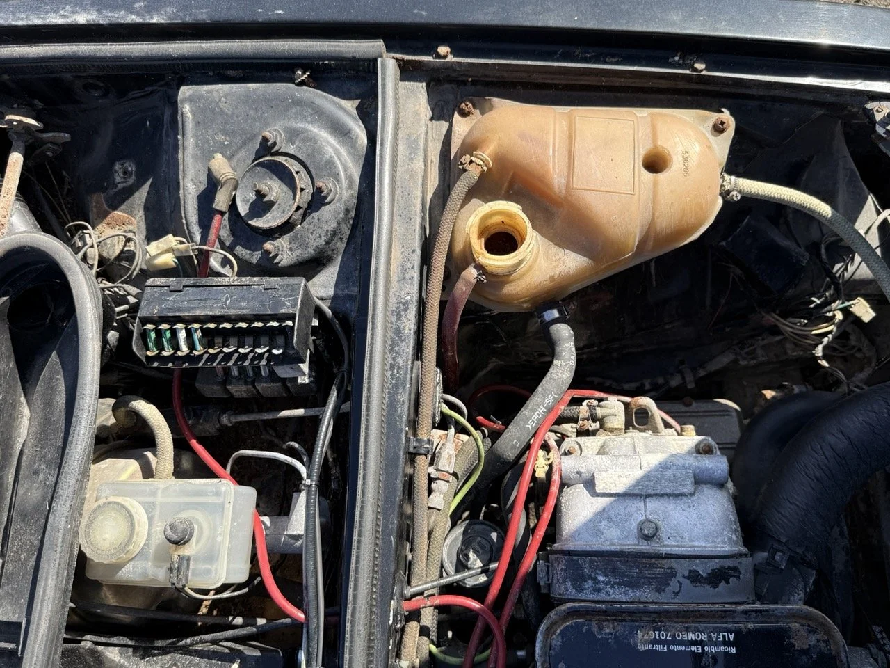 IMG_2939 – grande.jpeg