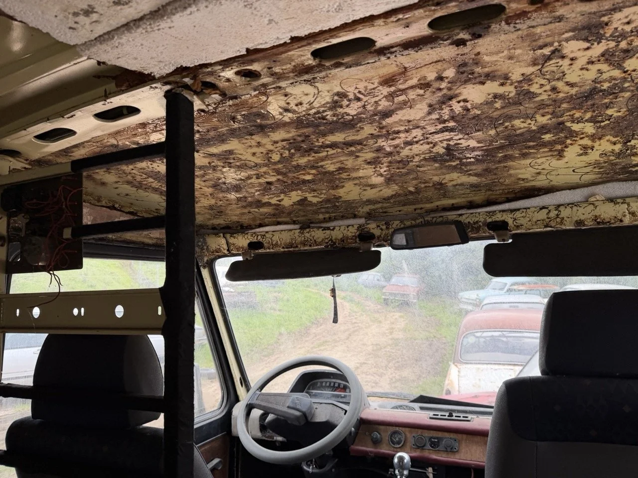 IMG_1337 – grande.jpeg