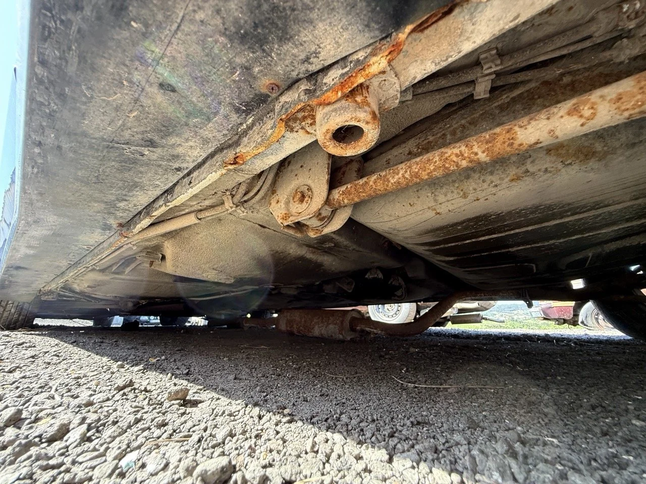 IMG_2950 – grande.jpeg