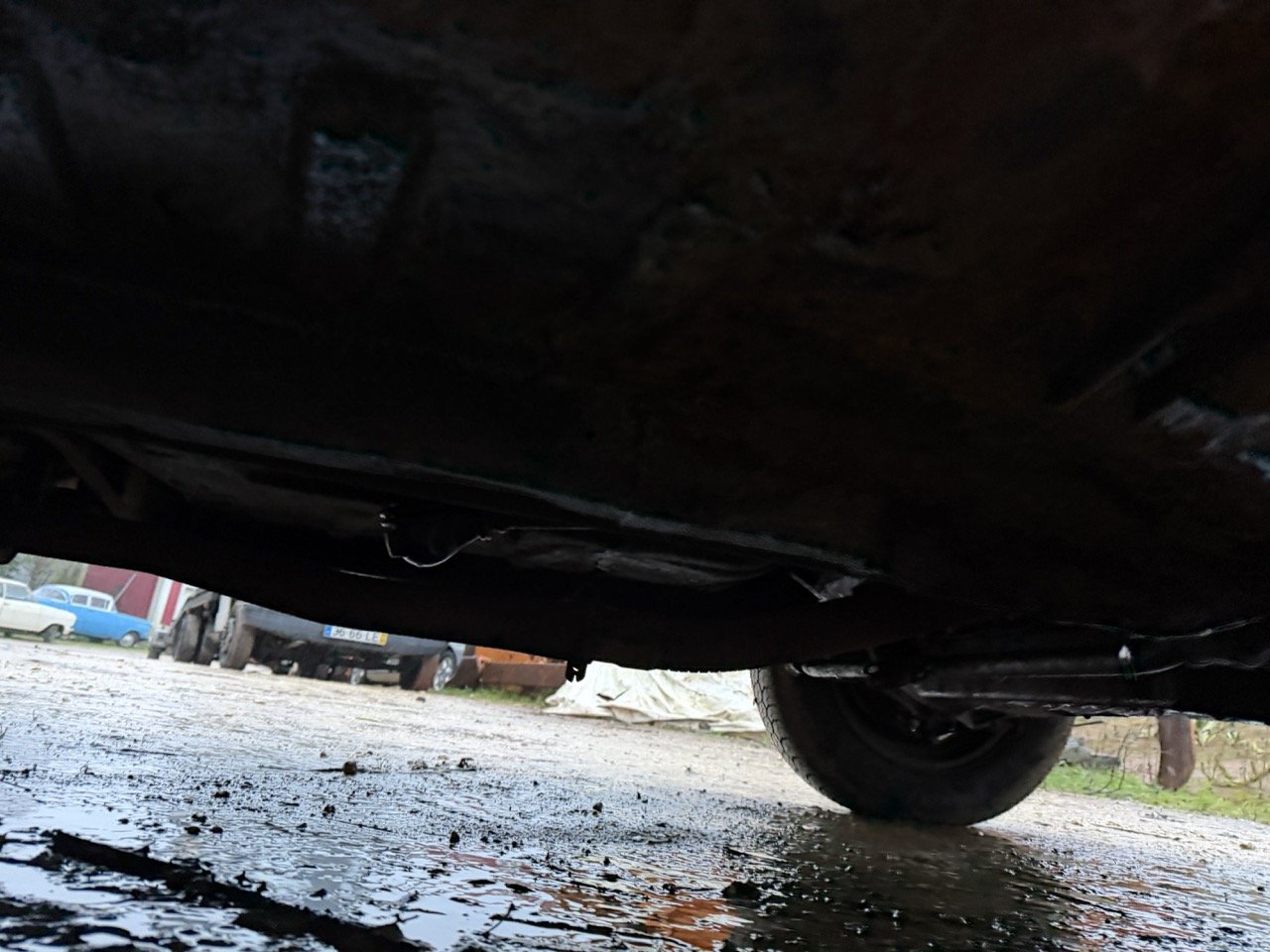 IMG_0301 – grande.jpeg